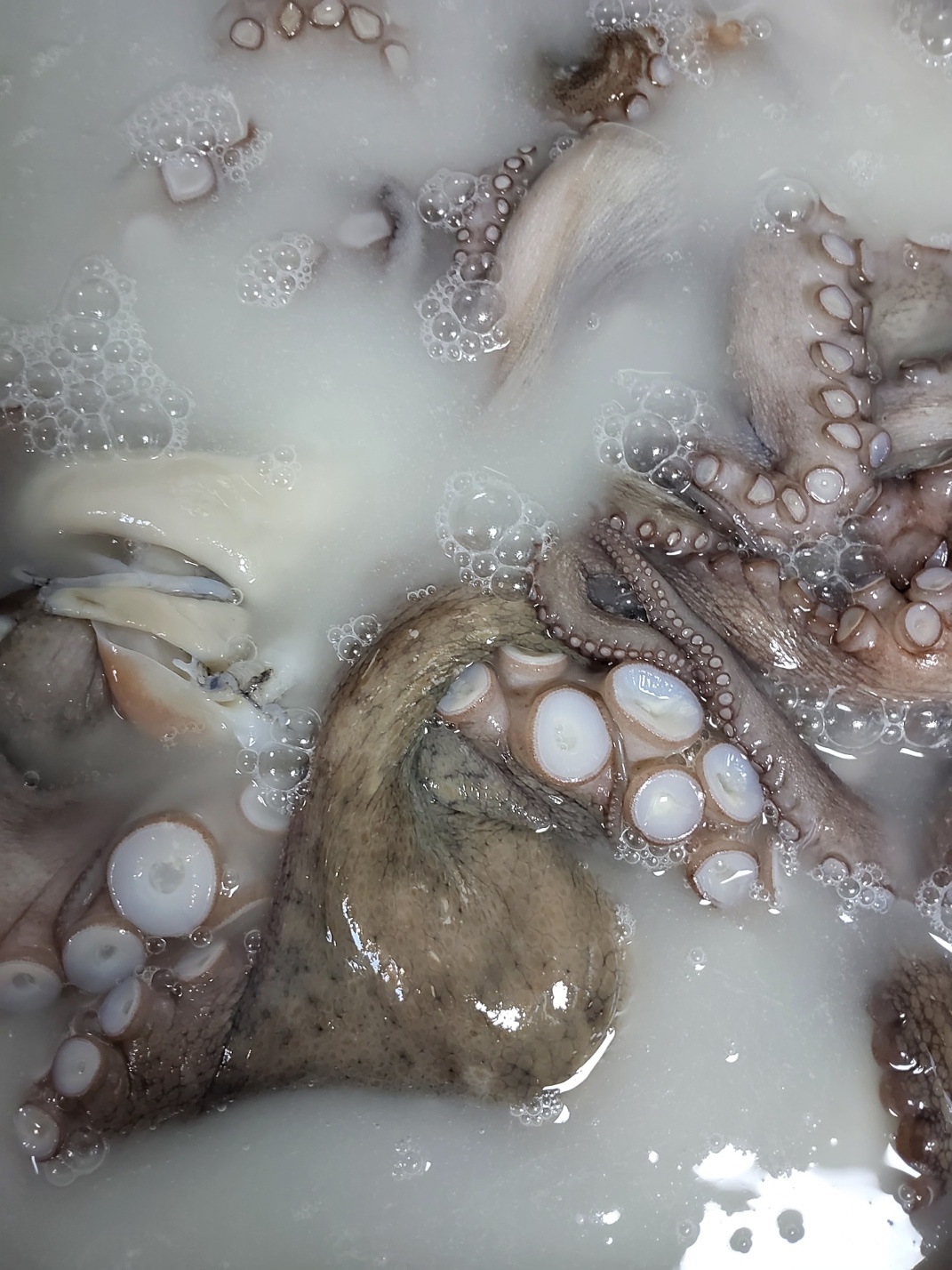 a82c83ed659fbdced418715f46f745a2_1764809575_751.jpeg a82c83ed659fbdced418715f46f745a2_1764809575_751.jpeg