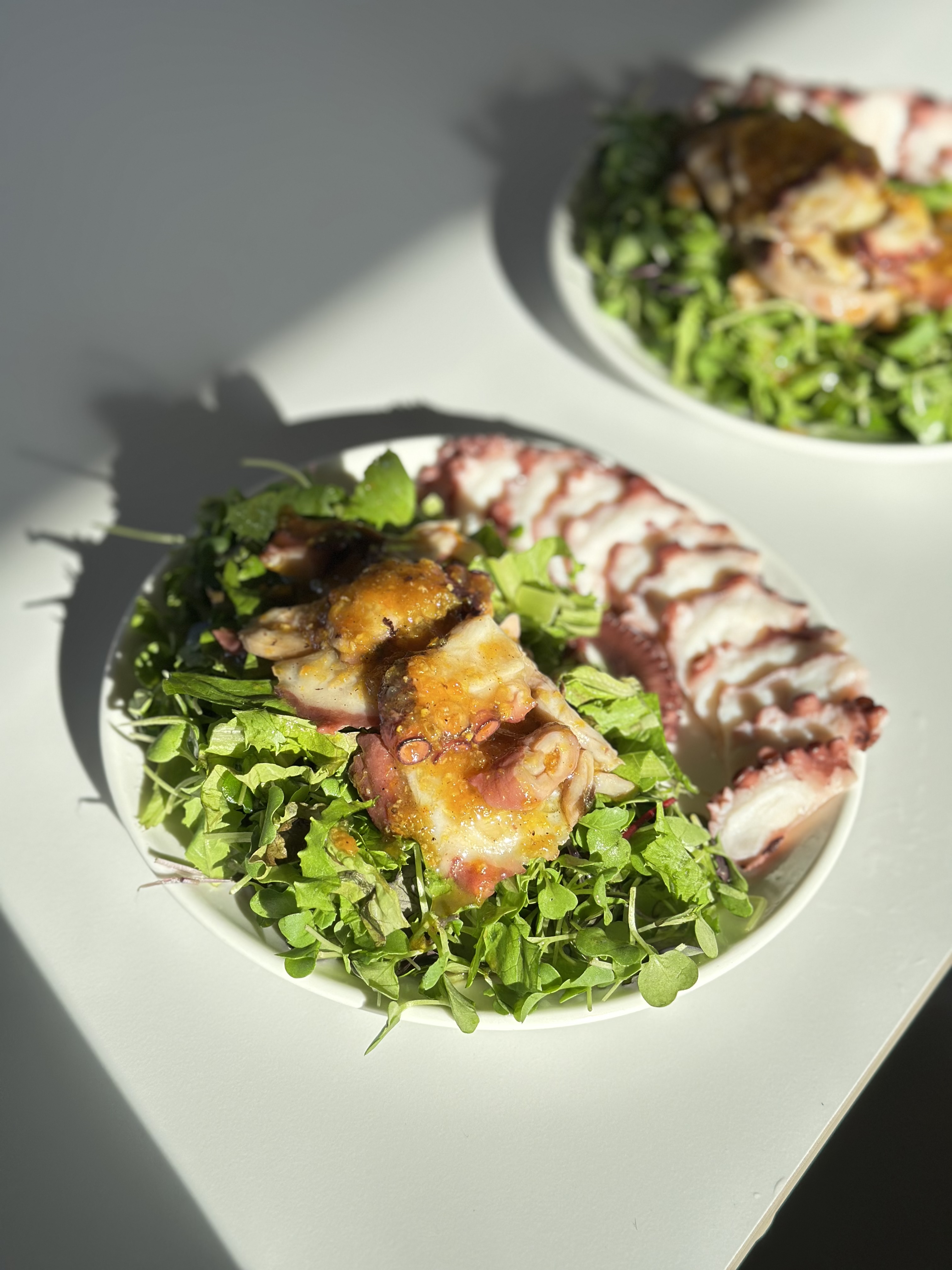 a82c83ed659fbdced418715f46f745a2_1764809590_7046.jpeg a82c83ed659fbdced418715f46f745a2_1764809590_7046.jpeg