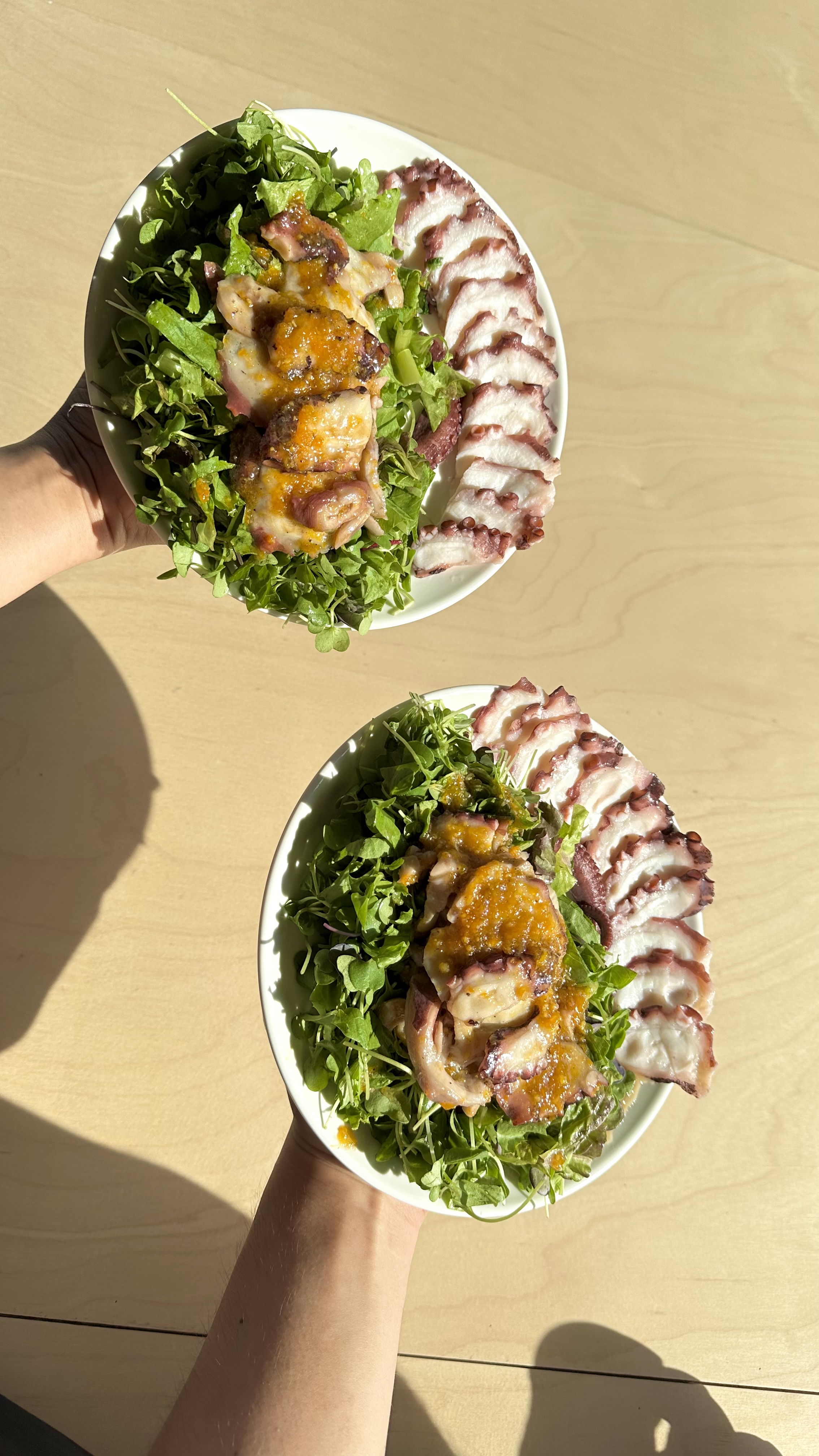 a82c83ed659fbdced418715f46f745a2_1764809592_4655.jpeg a82c83ed659fbdced418715f46f745a2_1764809592_4655.jpeg