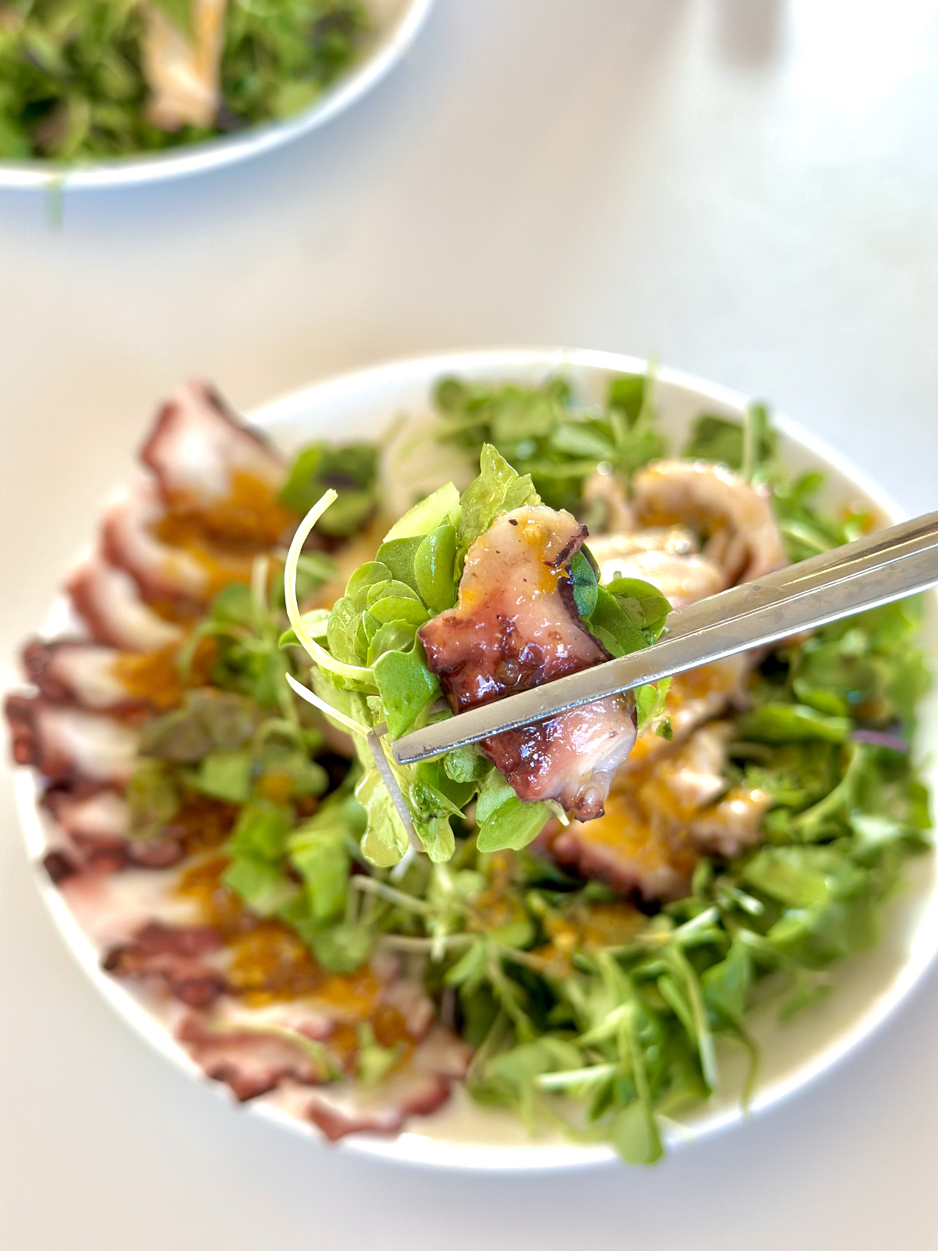 a82c83ed659fbdced418715f46f745a2_1764809594_1978.jpeg a82c83ed659fbdced418715f46f745a2_1764809594_1978.jpeg